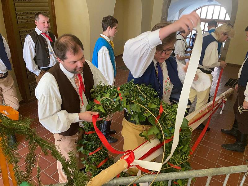 Tradice stavění máje folklorního souboru Podjavořičan Telč. Rok 2022.