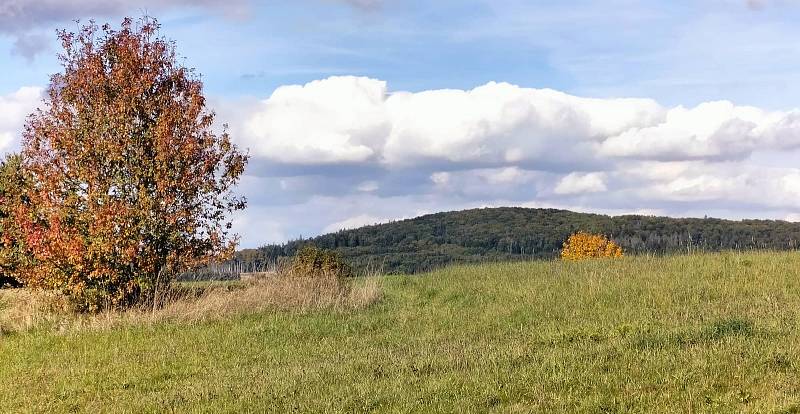 Krásné podzimní dny vybízí k procházkám po okolí. Třeba na Šibeniční vrch nad Třešť.