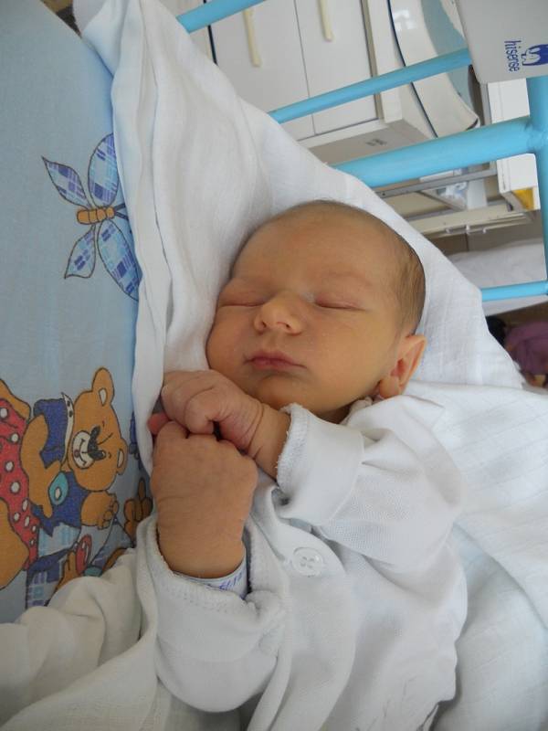 Adam Šenkapoul, 13. 5. 2013, 3 450 g, 51 cm, Krahulčí