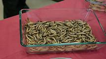 V prostorách Vysoké školy polytechnické Jihlava měli zájemci včera možnost ochutnat hmyzí speciality.