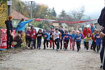 Sokolský běh republiky v Kamenici přilákal na start zhruba stovku účastníků, dospělých i dětí.