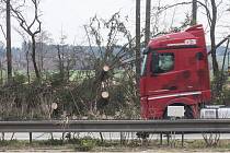 Kolony kvůli popadaným stromům na dálnici D1 okolo 127. kilometru směrem na Brno.