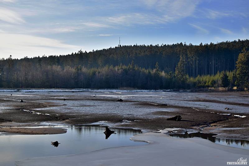 Velký Pařezitý rybník.