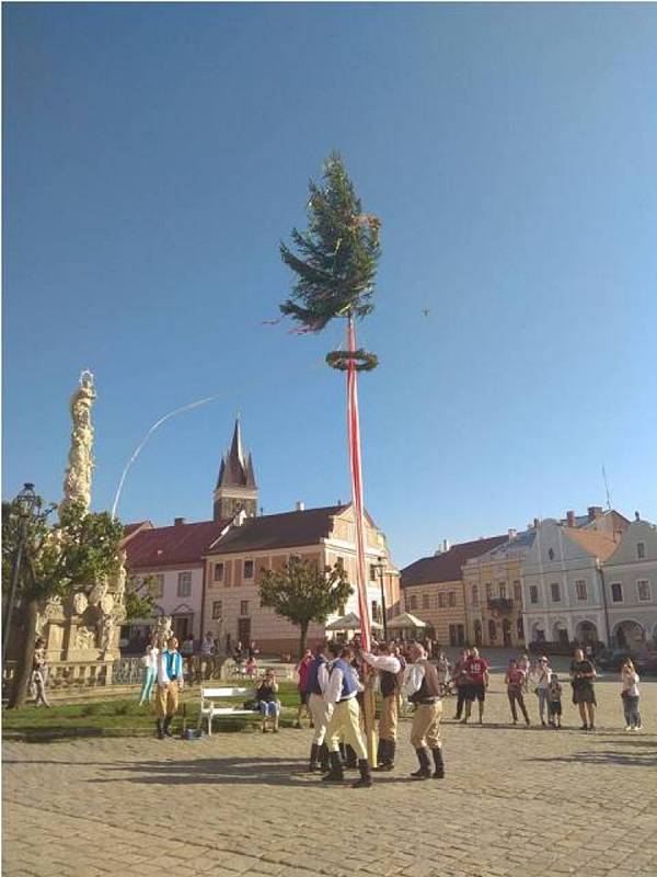 Tradice stavění máje folklorního souboru Podjavořičan Telč. Rok 2018.