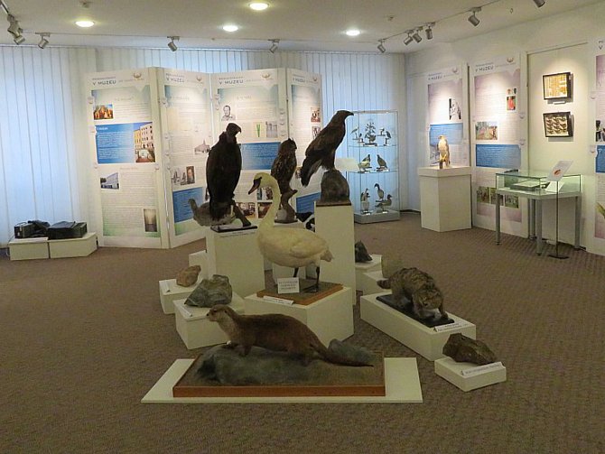 Výstava Přírodovědcem v muzeu.