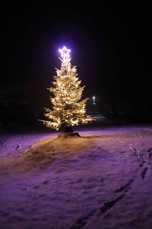 I menší obce mají svůj vánoční stromek, na snímku Růžená.