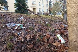 Odpadků v jihlavských parcích je obrovské množství, jsou i v ulicích. Čistotu města si musí vzít za svou Jihlavané.