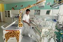 Nemocnice v Jihlavě má nové pojízdné rentgeny, ten pro děti vypadá jako žirafa.