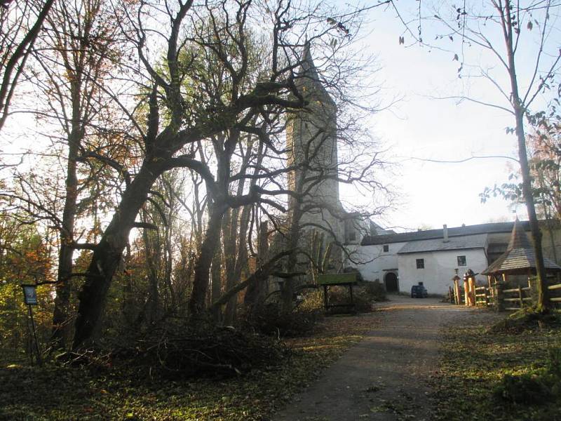 Stromy na hradě Roštejn padly k zemi