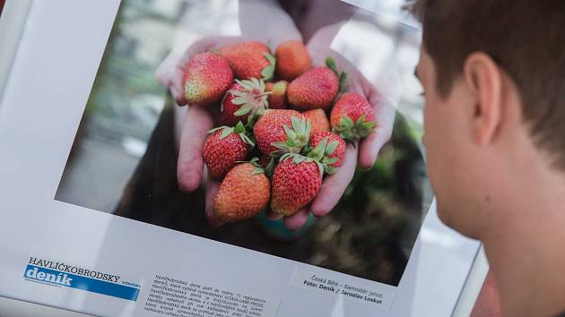 Výstava fotek Region Press Foto 2018.