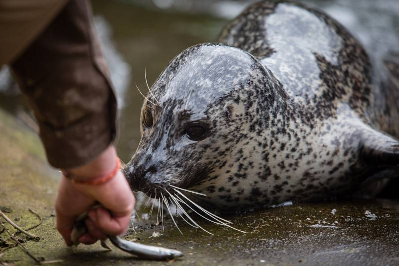 ZOO Jihlava, ilustrační foto