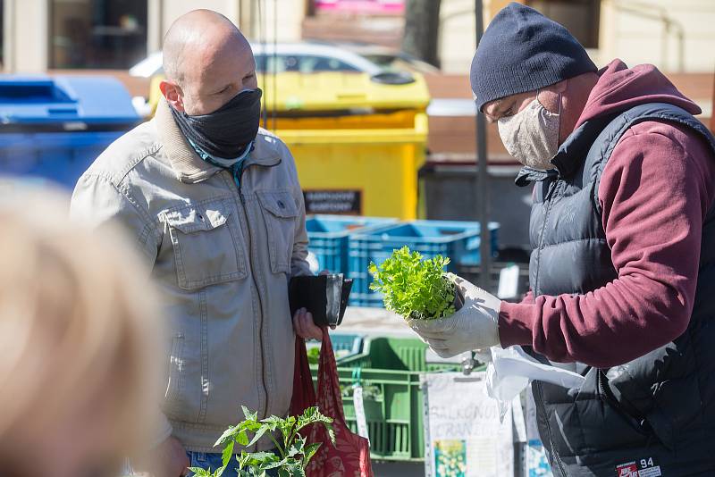 Farmářské trhy na Masarykově náměstí dne 20. dubna 2020 v Jihlavě.