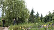 Arboretum v třešti.