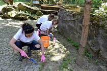 Dobrovolníci se v jihlavské zoo pustili do hrabání a pletí. Foto: poskytl Kraj Vysočina