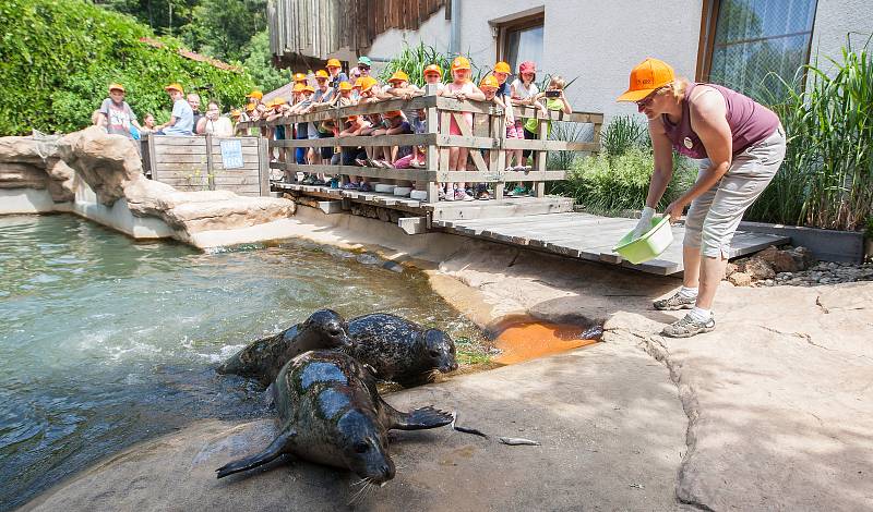 ZOO Jihlava i letos po celé léto pořádá příměstské tábory, ve kterých se děti seznámí se s životem zvířat v jihlavské zoo, dozví se řadu zajímavostí o rozmanitosti živočišné říše i její ochraně.