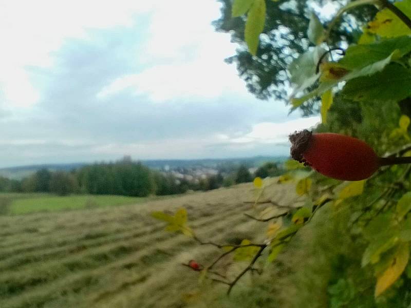 Krásné podzimní dny vybízí k procházkám po okolí. Třeba na Šibeniční vrch nad Třešť.