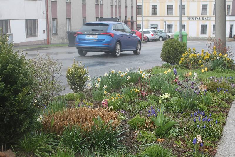 V městysi na Jihlavsku, který jsme navštívili za deštivého počasí, mohou lidé obdivovat barevné květiny na záhonech u silnice.