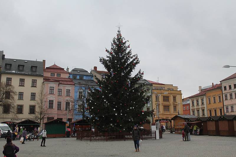 Vánoční strom na Masarykově náměstí v Jihlavě.