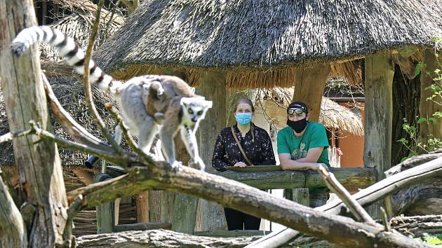 Do ZOO Jihlava se vydaly v pondělí ráno stovky lidí.