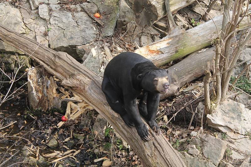 Zoo Jihlava.