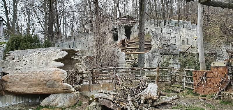 První dny byly v jihlavské zoologické zahradě poklidné. Návštěvníci neměli problém se ke zvířatům dostat, ta si to náležitě užívala.