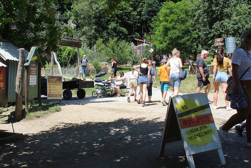 Jihlavská zoo je nejvíce navštěvovaným turistickým cílem Vysočiny. Divácky atraktivní jsou zejména komentovaná krmení zvířat.