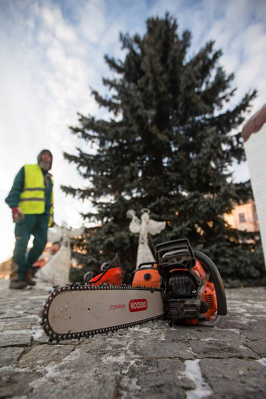 Kácení vánočního stromu na Masarykově náměstí v Jihlavě.