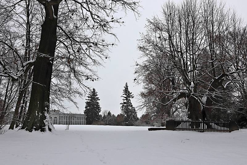 Procházka předvánoční Telčí není jenom náměstí, ale své kouzlo skrývá i zámecký park.