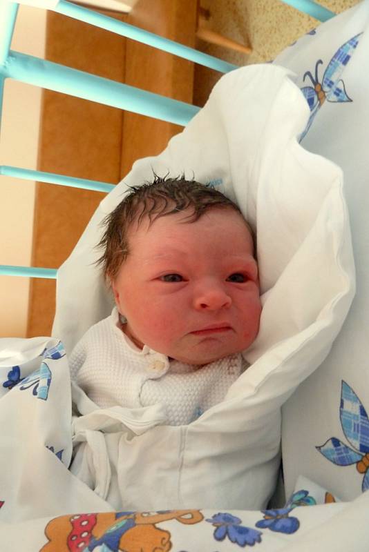 Nikola Skaláková, 28. 4. 2014, 3 133 g, 51 cm, Polná