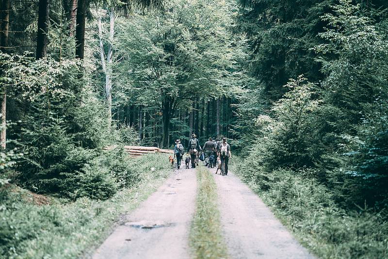 Všestranné zkoušky ohařů o putovní pohár hejtmana Kraje Vysočina se uskutečnily v honitbách mysliveckých spolků Větrný Jeníkov a Zbilidy. Akci pořádal Okresní myslivecký spolek Jihlava.