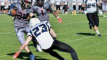 Paddock liga, Vysočina Gladiators - Ostrava Steelers