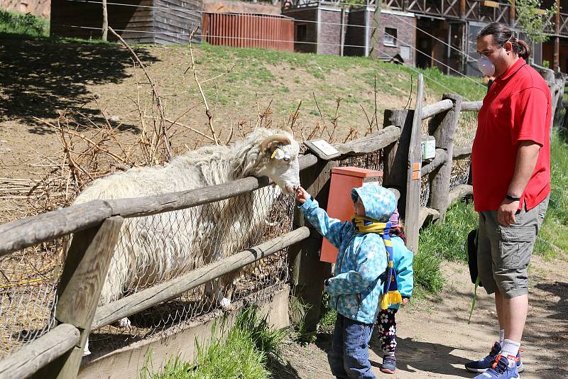 Zoo Jihlava loni v květnu.