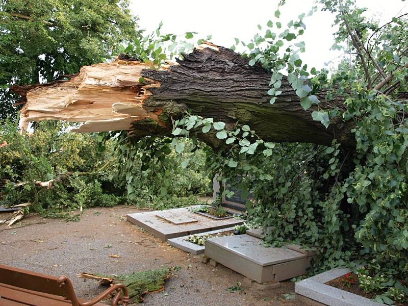 V Telči na hřbitově u svaté Anny zůstala po bouřce doslova spoušť. Některé náhrobky poničily větve ze stromů, které se poroučely k zemi.