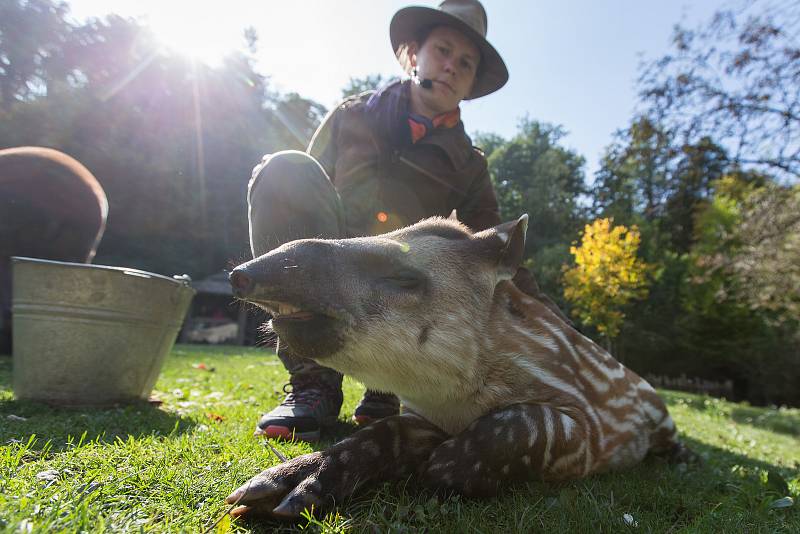 Den zvířat v Zoo Jihlava.