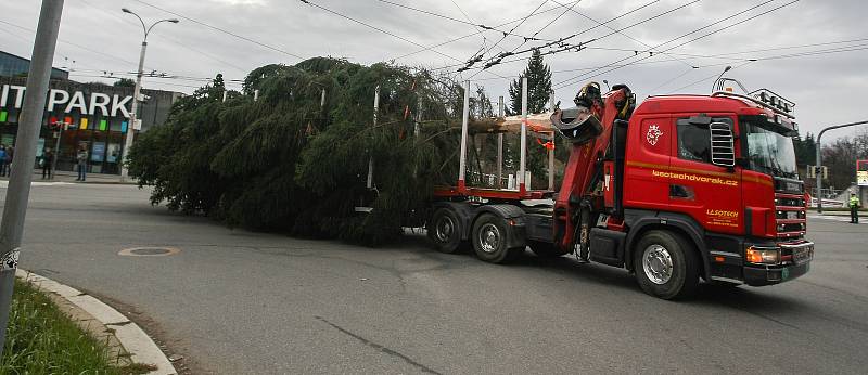 Převoz vánočního stromu na Masarykovo náměstí v Jihlavě.