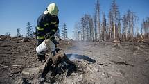 Dohašování ohnisek požáru z 6. - 7. dubna 2020 v lese u Kamenice na Jihlavsku.