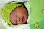 Quang Huy Pham, 28. 9. 2015, 3 690 g, 51 cm, Jihlava