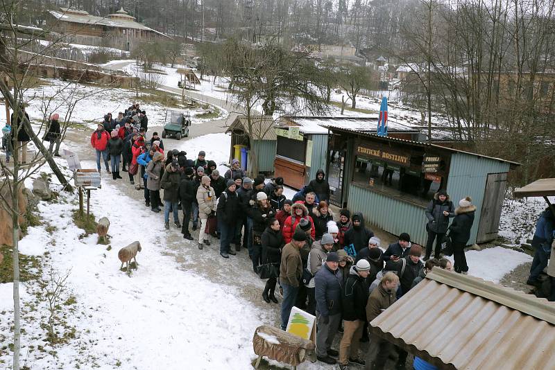 Eurobankovka přilákala sběratele z celé republiky i ze zahraničí.