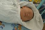 Lin Tion, 21.3. 2008, 4,5 kg, 52 cm, Jihlava