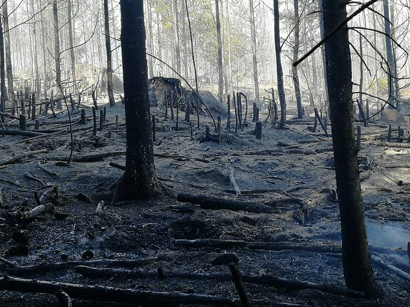 Požár mladého lesa u Řídelova si vyžádal i zásah hasicího letadla.
