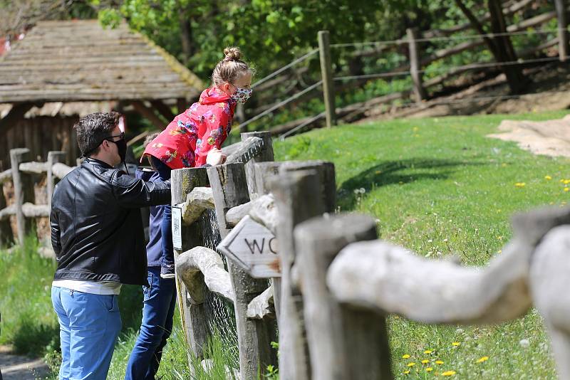 Zoo Jihlava loni v květnu.