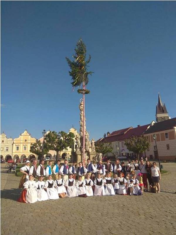 Tradice stavění máje folklorního souboru Podjavořičan Telč. Rok 2018.