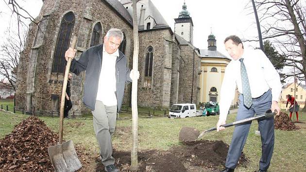 Primátor Jaroslav Vymazal (vpravo) a jeho první náměstek Rudolf Chloupek zasadili u svatého Jakuba dvě lípy.