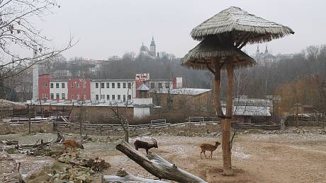 Modeta se nachází v těsném sousedství jihlavské zoologické zahrady.