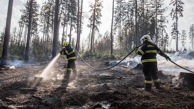 Hasiči na Vysočině museli v neděli několikrát vyjíždět k požárům v lesích