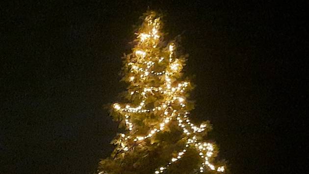 Vánoční strom ve Vysokém u Žďáru nad Sázavou.
