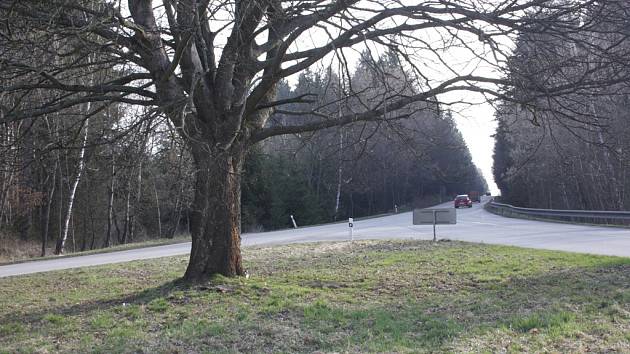 Křižovatka ještě se stromem, který připravil o život několik řidičů.