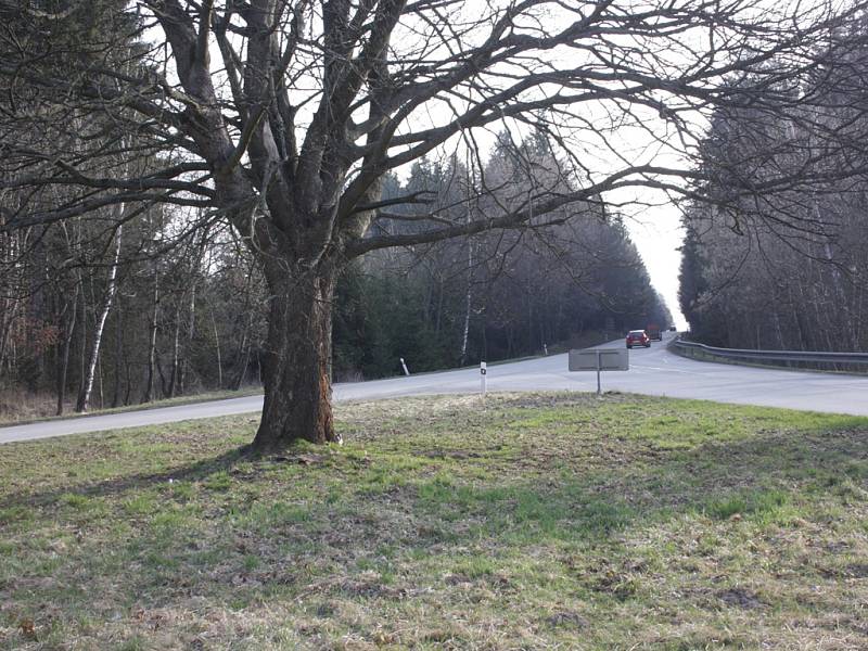 Křižovatka ještě se stromem, který připravil o život několik řidičů.