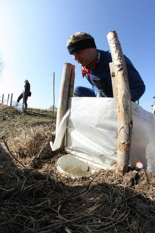 Milovníci přírody a dobrovolníci postavili v sobotu u silnice poblíž Kamenice zábrany a do země instalovali plastové kbelíky.