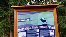 Výlet k soše jelena nad Hodicemi stojí za to. Je odsud vidět Javořice i Roštejn.
